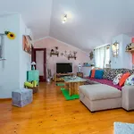 Beautiful Loreta With Private Pool Near Pula And Rovinj Villa Cabrunici