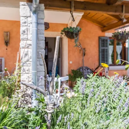 Villa Beautiful Loreta With Private Pool Near Pula And Rovinj Cabrunici